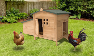 Porte poulailler automatique