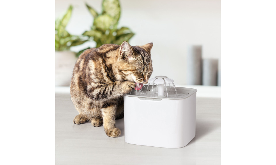Fontaine d'eau pour chat capacité 2l PET MATE