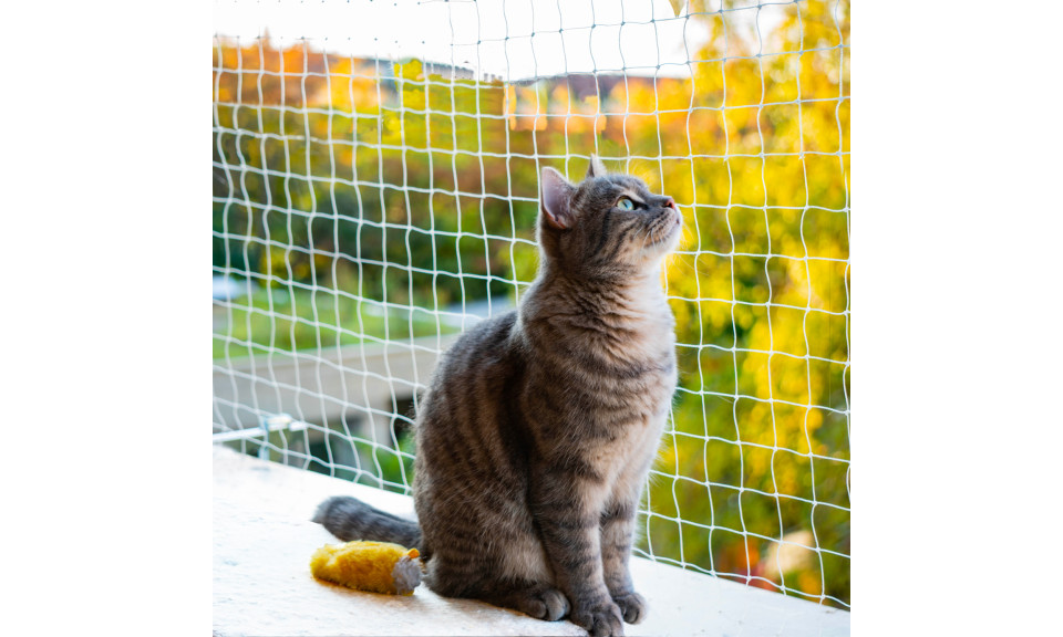 Filet de sécurité balcon pour chat